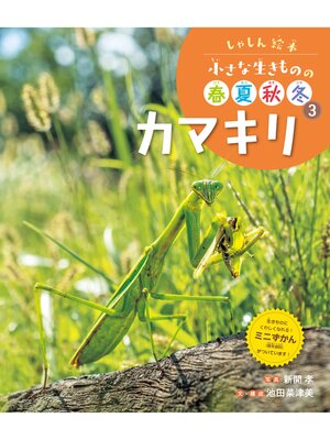cover image of しゃしん絵本　小さな生きものの春夏秋冬　カマキリ
